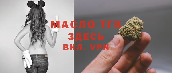 гашик Алексеевка