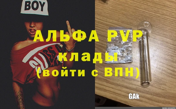 гашик Алексеевка