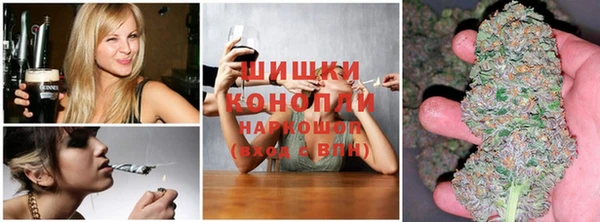 гашик Алексеевка