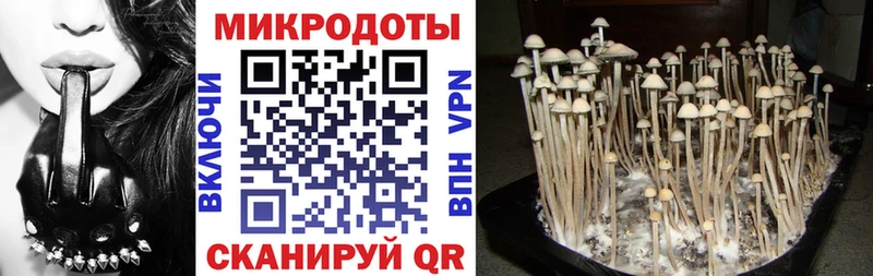 Галлюциногенные грибы мухоморы  сайты даркнета Telegram  Юрьевец  где продают наркотики 